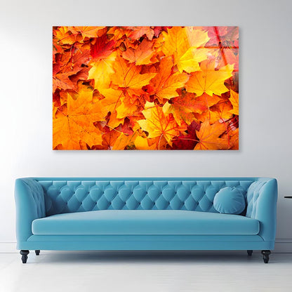 Autumn Orange Leaves Acrylic Glass Print Tempered Glass Wall Art 100% Made in Australia Ready to Hang