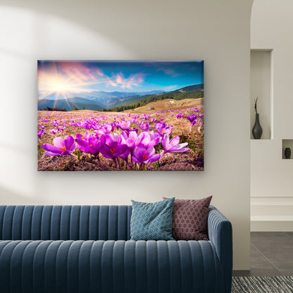 Beautiful spring crocus fields in Carpathian Mountains, Ukraine  Wall Art Decor 100% Australian Made