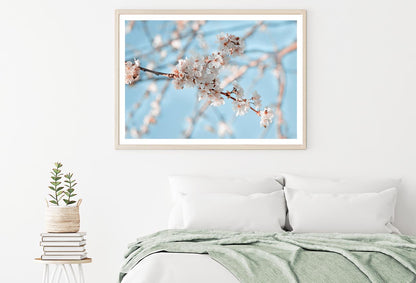 Close-Up Of the Blossoming Branch in Spring Home Decor Premium Quality Poster Print Choose Your Sizes