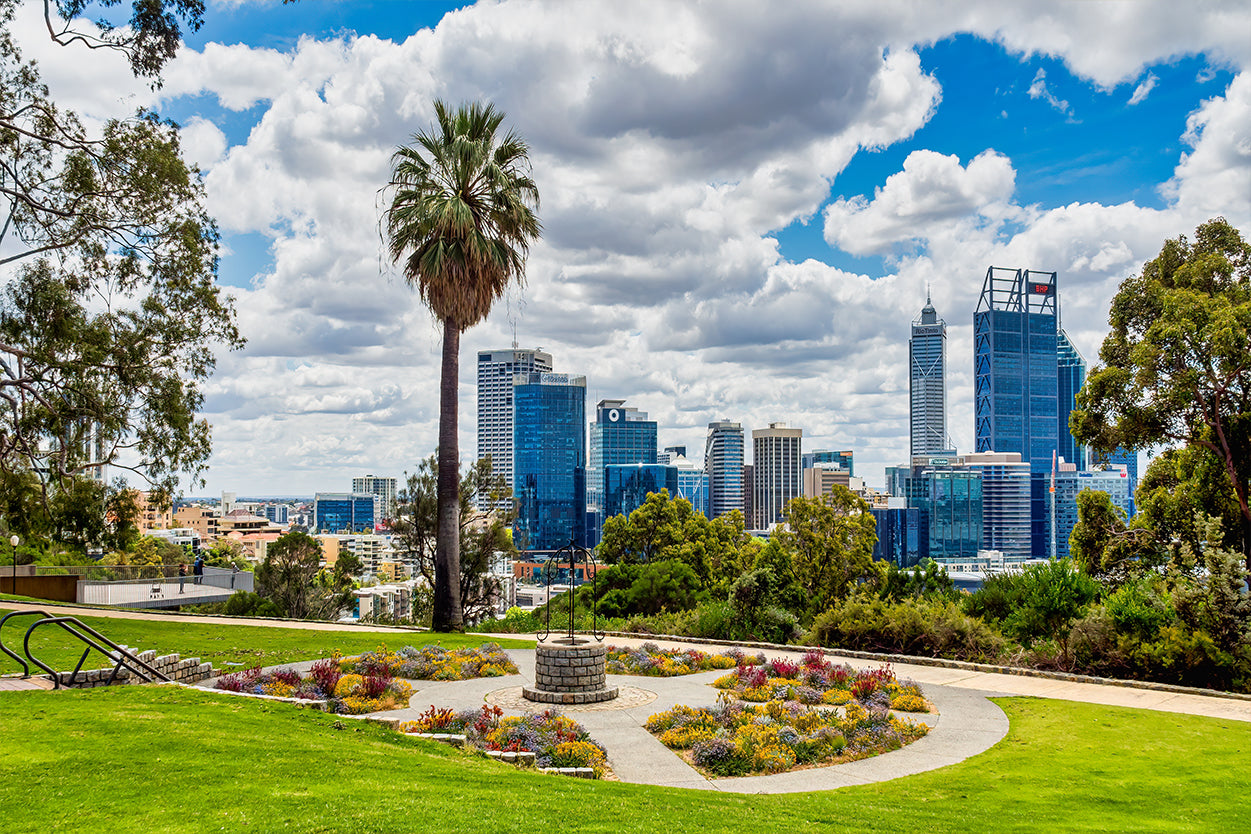 Kings Park and Botanic Garden Perth City View Wall Art Decor 100% Australian Made