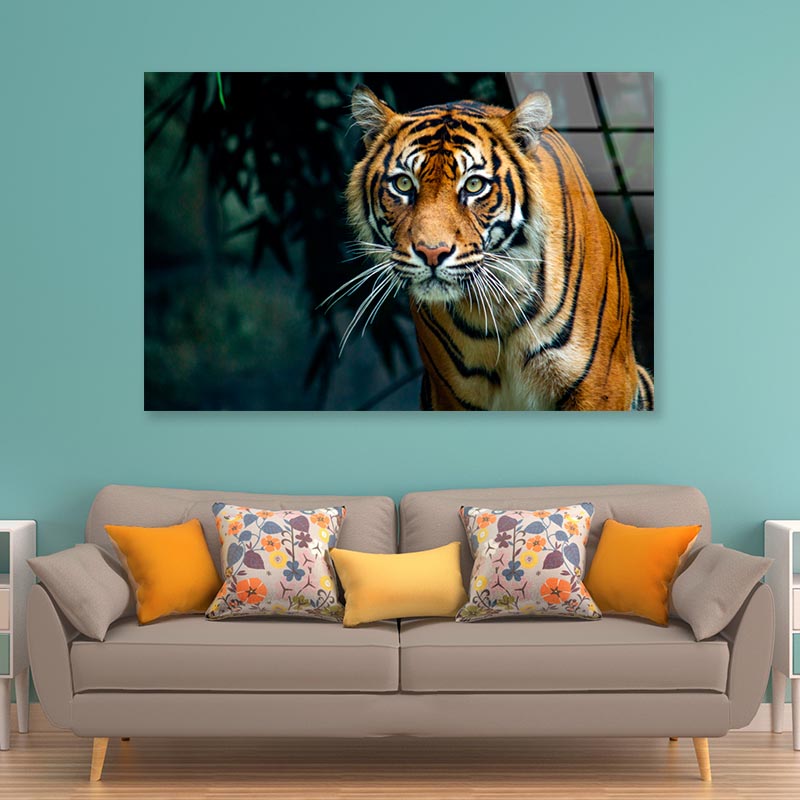 Proud Sumatran Tiger Prowling Towards  Acrylic Glass Print Tempered Glass Wall Art 100% Made in Australia Ready to Hang - Bella Home Decor