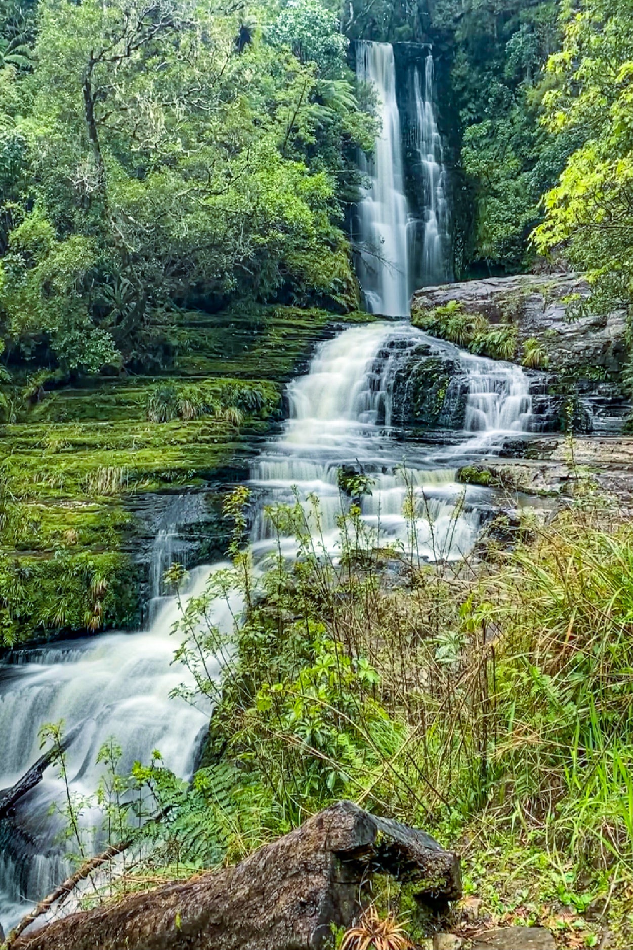 Mcleans Falls In The Forest Glass Framed Wall Art, Ready to Hang Quality Print