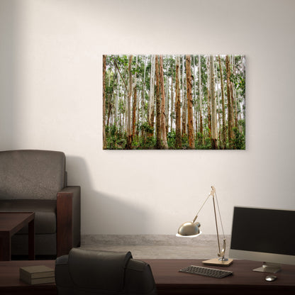 Brazilian Forest Eucalyptus Trees Wall Art Decor 100% Australian Made
