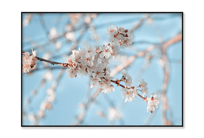 Close-Up Of the Blossoming Branch in Spring Home Decor Premium Quality Poster Print Choose Your Sizes