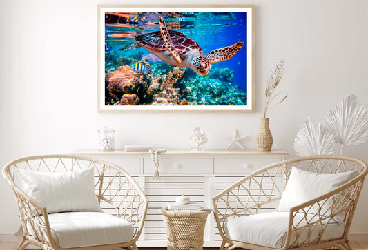 Turtle Swimming in The Ocean with Fish Home Decor Premium Quality Poster Print Choose Your Sizes