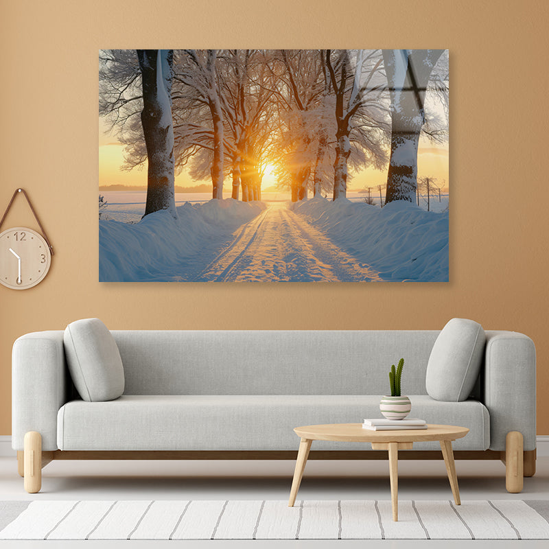 Winter with Tree Alley at Sunset Acrylic Glass Print Tempered Glass Wall Art 100% Made in Australia Ready to Hang - Bella Home Decor