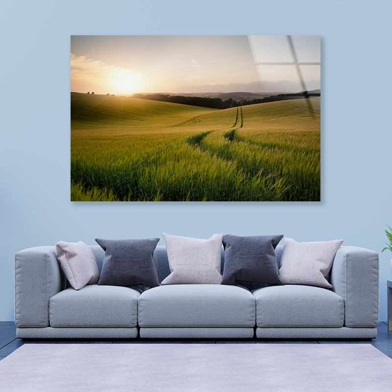 View of a Grassy Field with a Sun, Sky & Plants Acrylic Glass Print Tempered Glass Wall Art 100% Made in Australia Ready to Hang