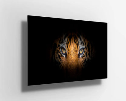 Large Tiger eyes UV Direct Aluminum Print Australian Made Quality