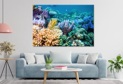 Coral Reef Underwater Scene Great Barrier Reef Queensland Wall Art Decor 100% Australian Made