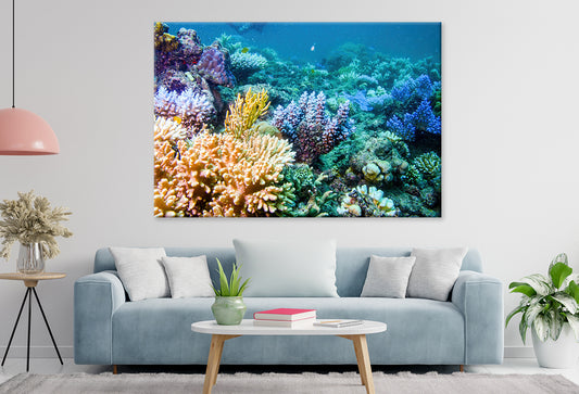 Coral Reef Underwater Scene Great Barrier Reef Queensland Wall Art Decor 100% Australian Made
