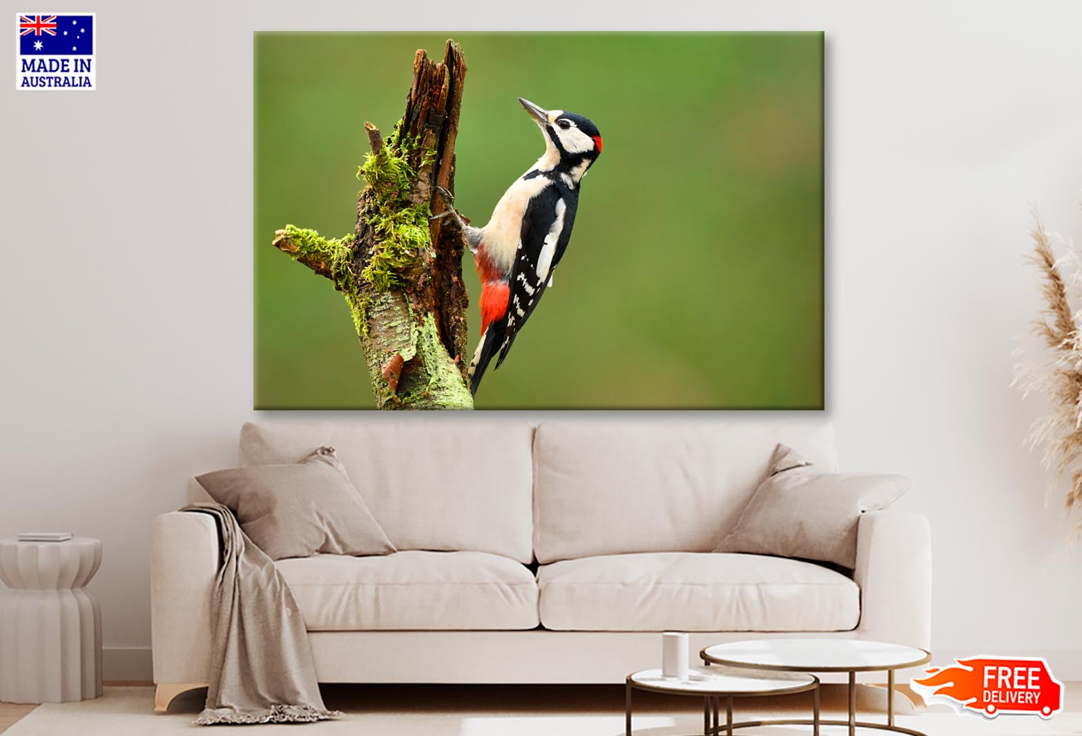 Great Spotted Woodpecker Wall Art Decor 100% Australian Made - Bella Home Decor