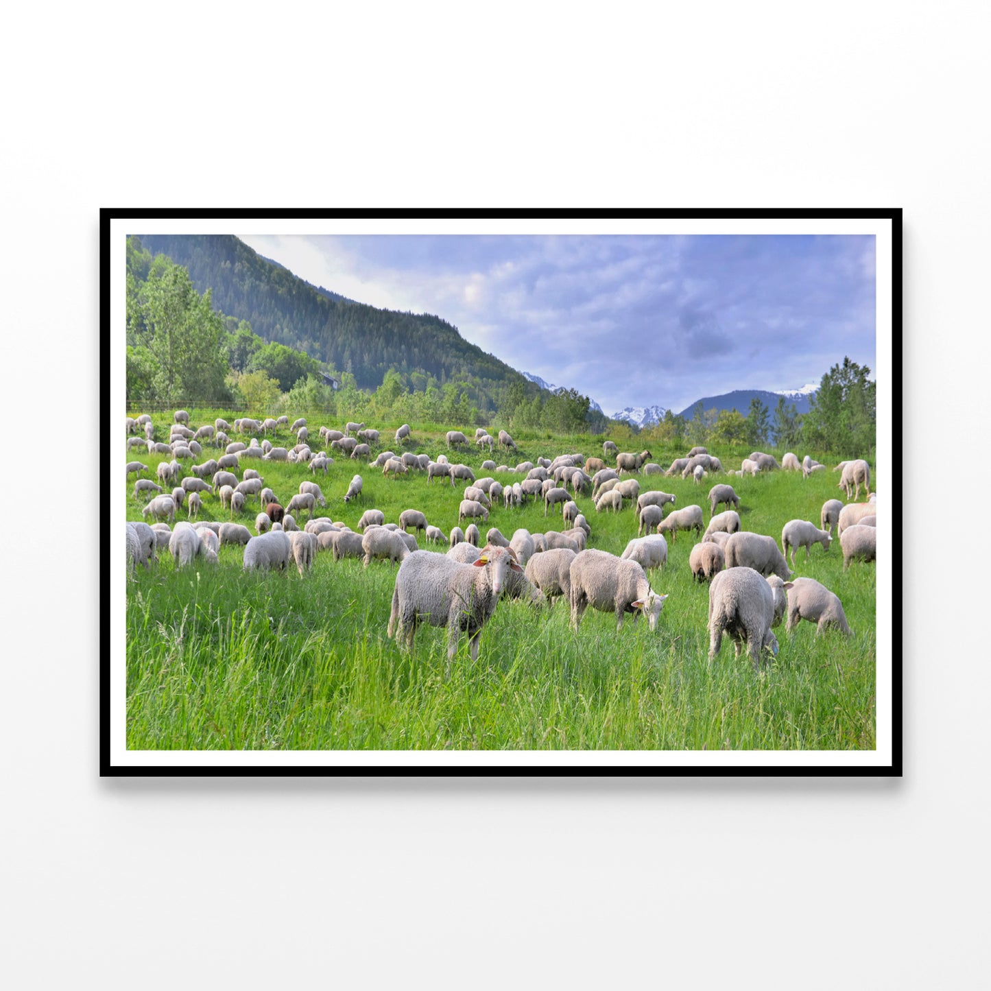 Flock of Sheep in Greenery Grassland at spring Home Decor Premium Quality Poster Print Choose Your Sizes - Bella Home Decor