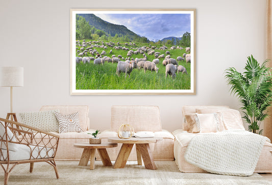 Flock of Sheep in Greenery Grassland at spring Home Decor Premium Quality Poster Print Choose Your Sizes - Bella Home Decor