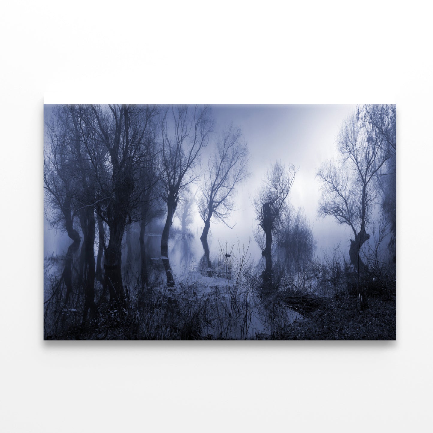 Misty Dark Swamp in autumn Print 100% Australian Made