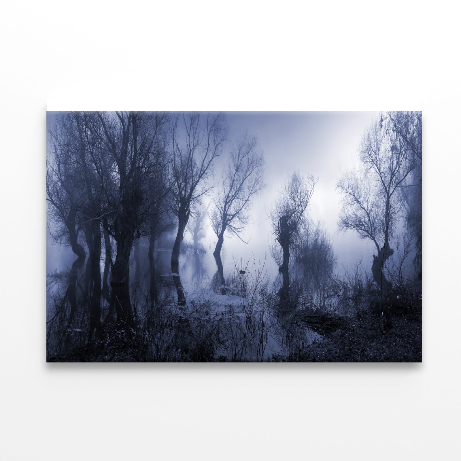 Misty Dark Swamp in autumn Print 100% Australian Made