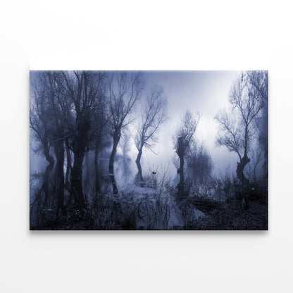 Misty Dark Swamp in autumn Print 100% Australian Made