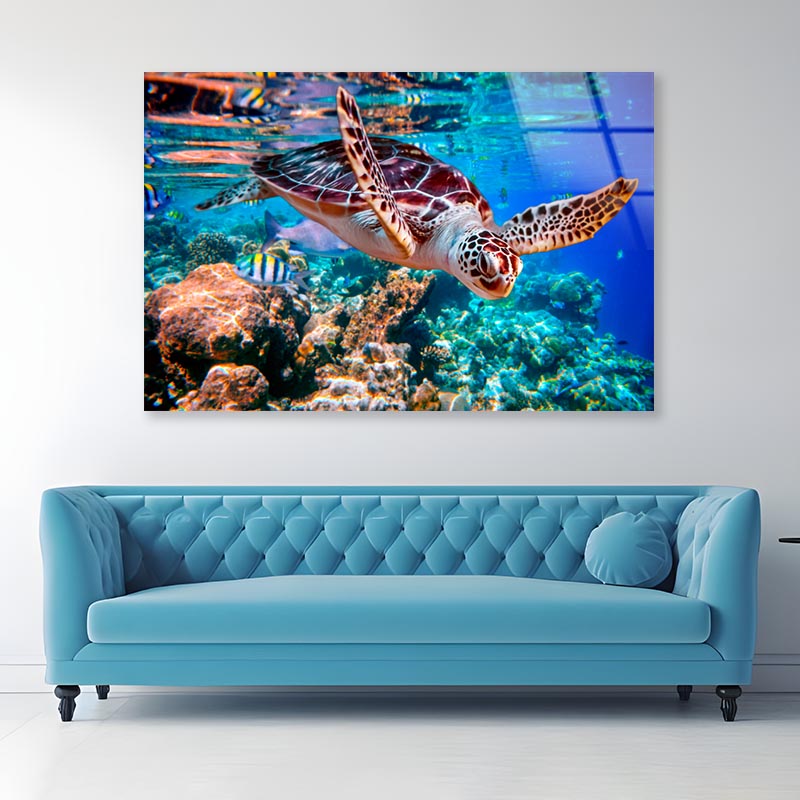 Turtle Swimming in The Ocean with Fish Acrylic Glass Print Tempered Glass Wall Art 100% Made in Australia Ready to Hang