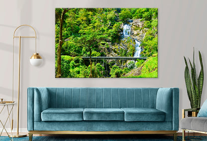 Kuranda Scenic Railway Cairns Rainforest Wall Art Decor 100% Australian Made