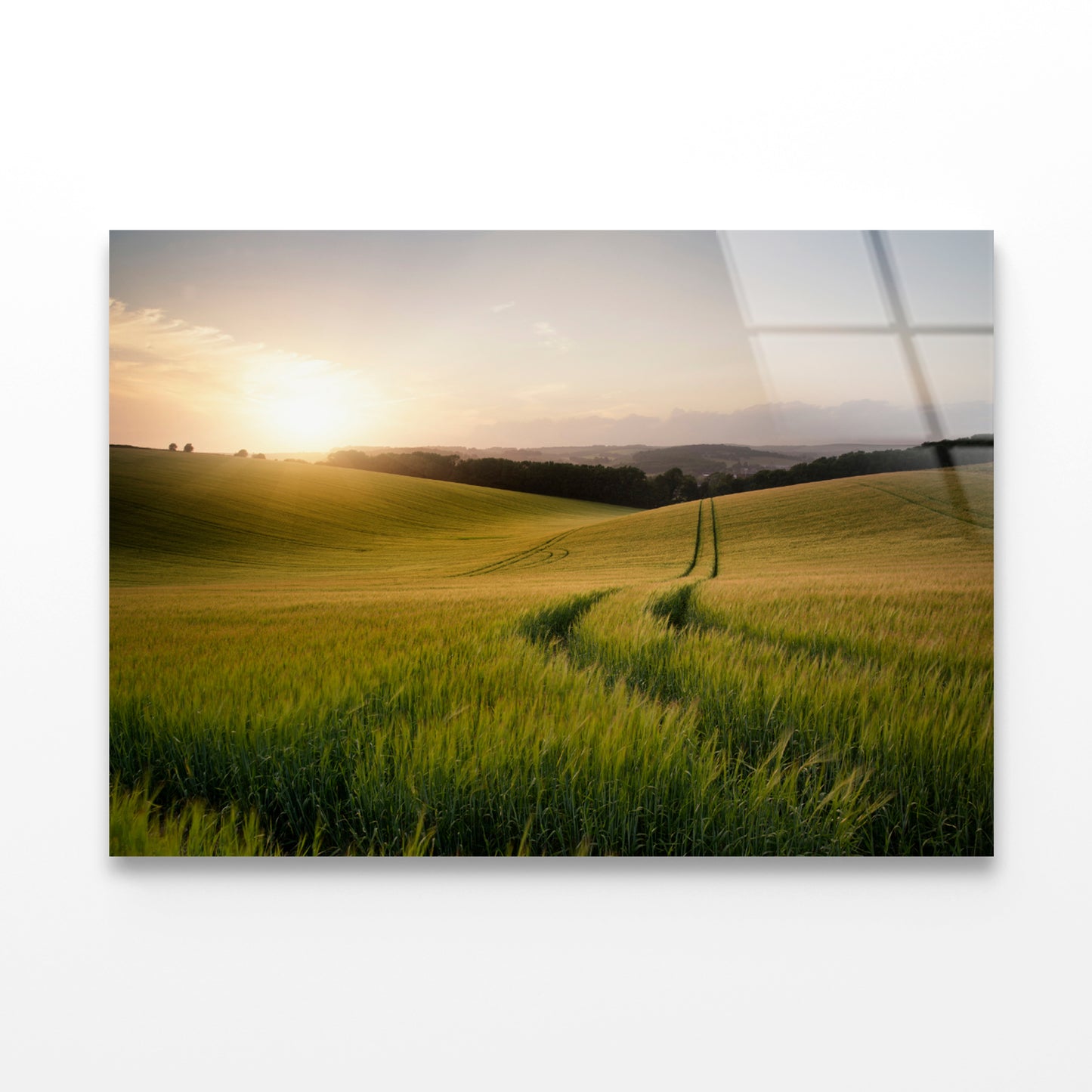 View of a Grassy Field with a Sun, Sky & Plants Acrylic Glass Print Tempered Glass Wall Art 100% Made in Australia Ready to Hang