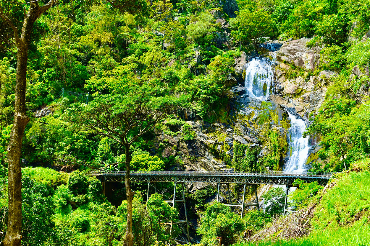 Kuranda Scenic Railway Cairns Rainforest Wall Art Decor 100% Australian Made