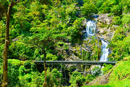 Kuranda Scenic Railway Cairns Rainforest Wall Art Decor 100% Australian Made