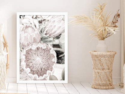 Protea Flowers Closeup Faded Photograph Glass Framed Wall Art, Ready to Hang Quality Print Without White Border White