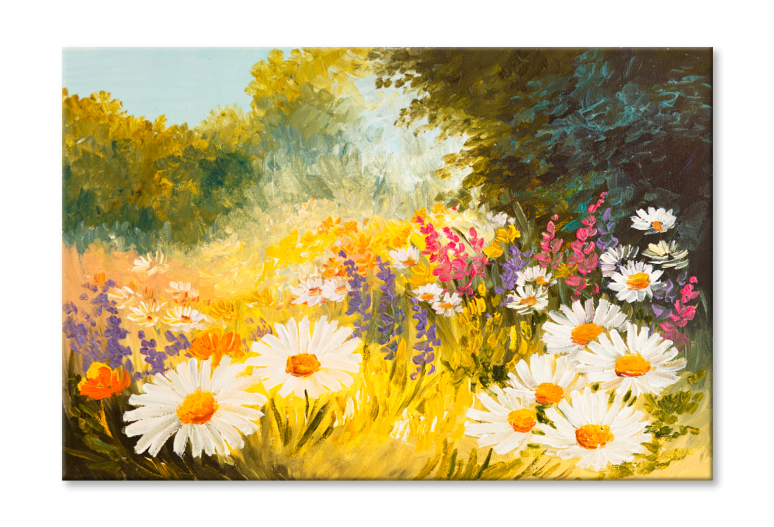 Field Of Daisies Oil Painting Wall Art Limited Edition High Quality Print Stretched Canvas None