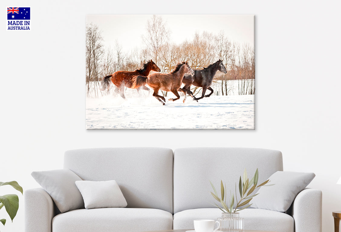 Group of Three Horses Running in Winter Wall Art Decor 100% Australian Made