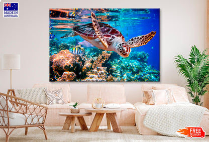 Turtle Swimming in The Ocean with Fish Wall Art Decor 100% Australian Made