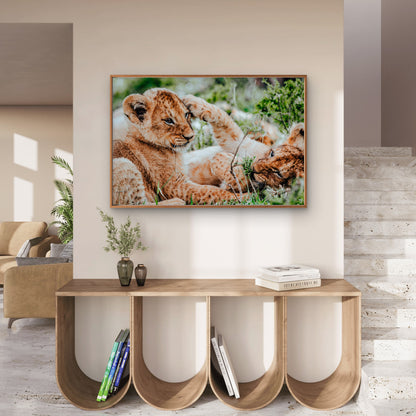 Lion Cubs Playing African Wildlife Nature Wall Art Decor 100% Australian Made