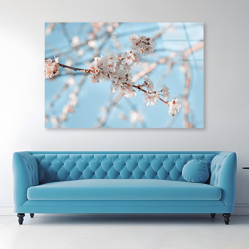 Close-Up Of the Blossoming Branch in Spring Acrylic Glass Print Tempered Glass Wall Art 100% Made in Australia Ready to Hang - Bella Home Decor