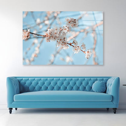 Close-Up Of the Blossoming Branch in Spring Acrylic Glass Print Tempered Glass Wall Art 100% Made in Australia Ready to Hang - Bella Home Decor