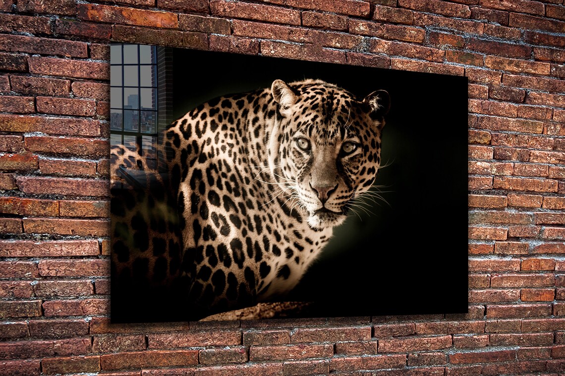 Leopard Closeup View UV Direct Aluminum Print Australian Made Quality