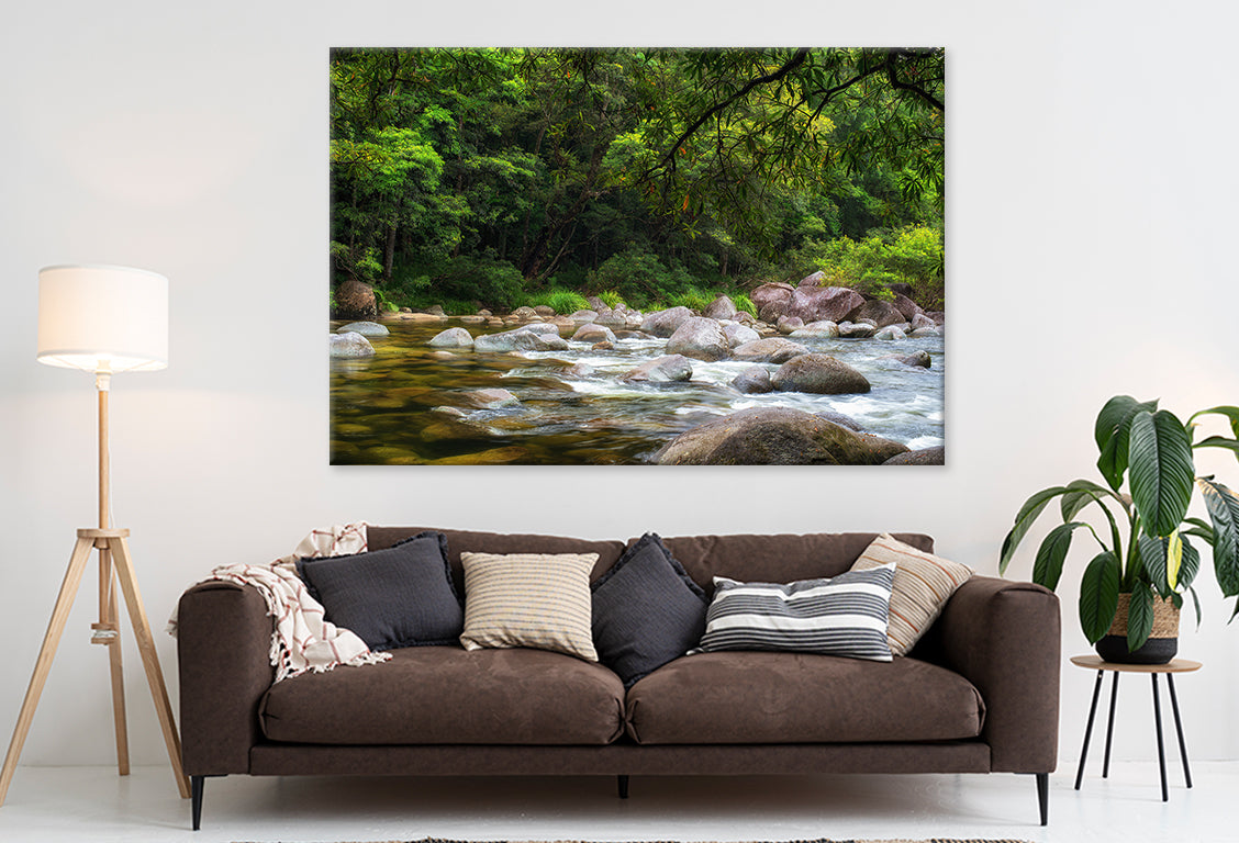 Daintree Rainforest Queensland Mossman River Hiking Wall Art Decor 100% Australian Made