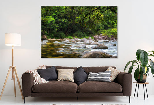Daintree Rainforest Queensland Mossman River Hiking Wall Art Decor 100% Australian Made