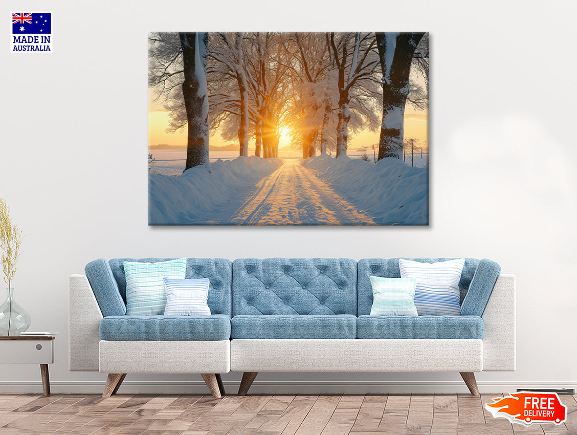 Winter with Tree Alley at Sunset Print 100% Australian Made - Bella Home Decor