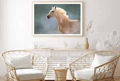 White Lusitano Horse in Movement Home Decor Premium Quality Poster Print Choose Your Sizes