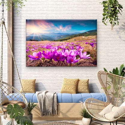 Beautiful spring crocus fields in Carpathian Mountains, Ukraine  Wall Art Decor 100% Australian Made