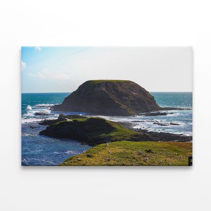 Phillip Island Victoria The Nobbies Wall Art Decor 100% Australian Made