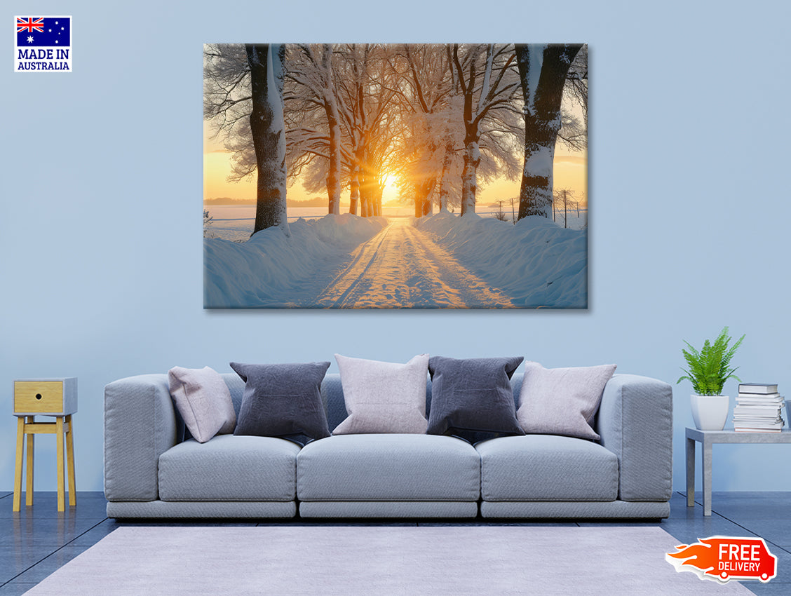 Winter with Tree Alley at Sunset Print 100% Australian Made - Bella Home Decor