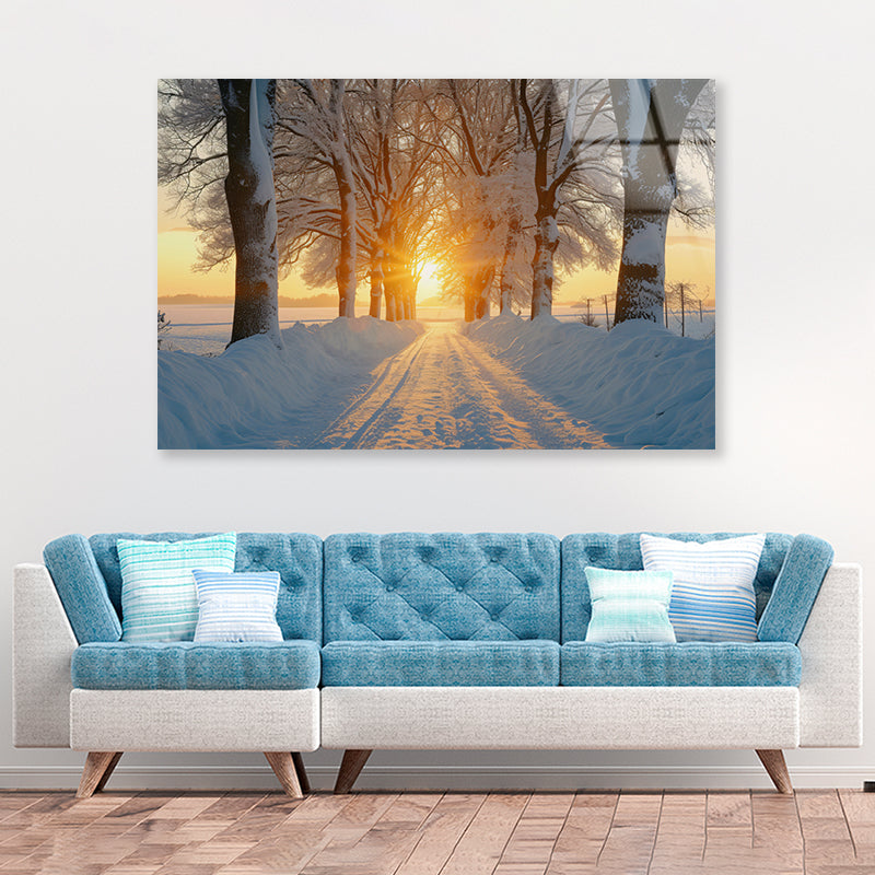 Winter with Tree Alley at Sunset Acrylic Glass Print Tempered Glass Wall Art 100% Made in Australia Ready to Hang - Bella Home Decor