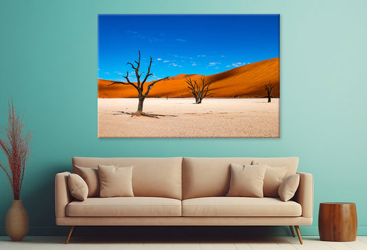 Deadvlei Clay Pan in Namibia Wall Art Decor 100% Australian Made