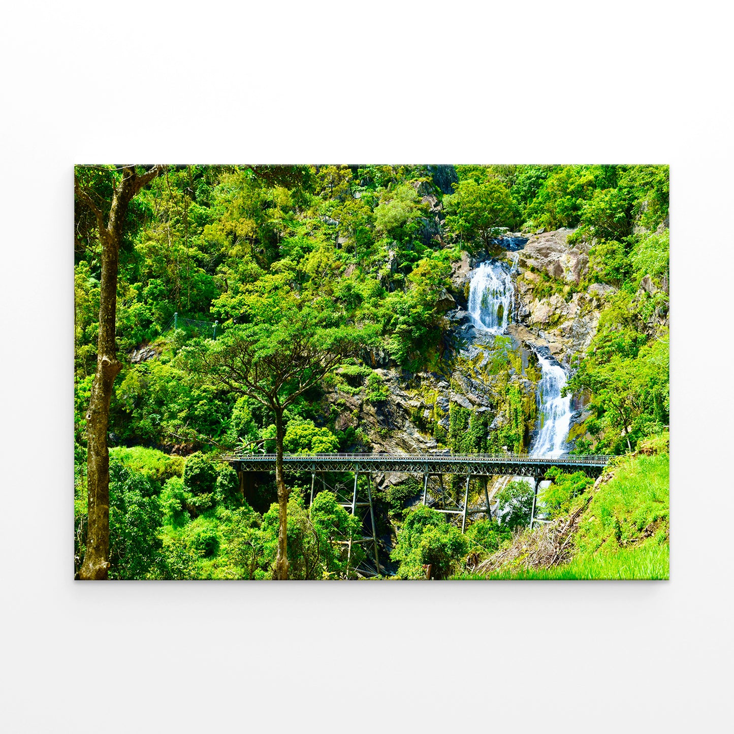 Kuranda Scenic Railway Cairns Rainforest Wall Art Decor 100% Australian Made