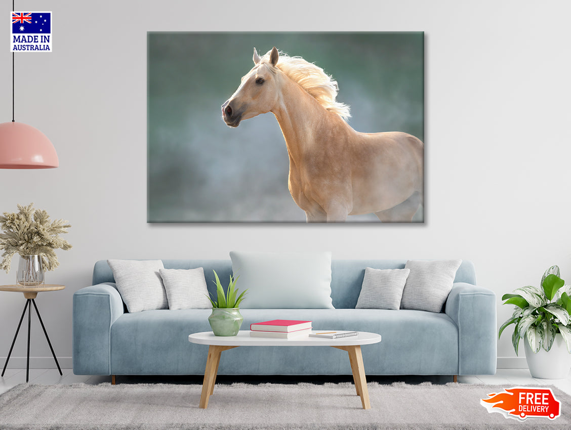 White Lusitano Horse in Movement Print 100% Australian Made