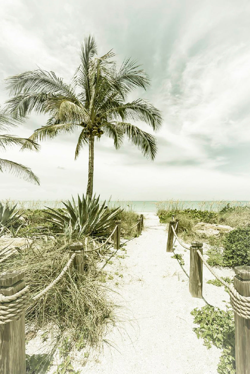 Palm Tree & Sea Path View Photograph Glass Framed Wall Art, Ready to Hang Quality Print