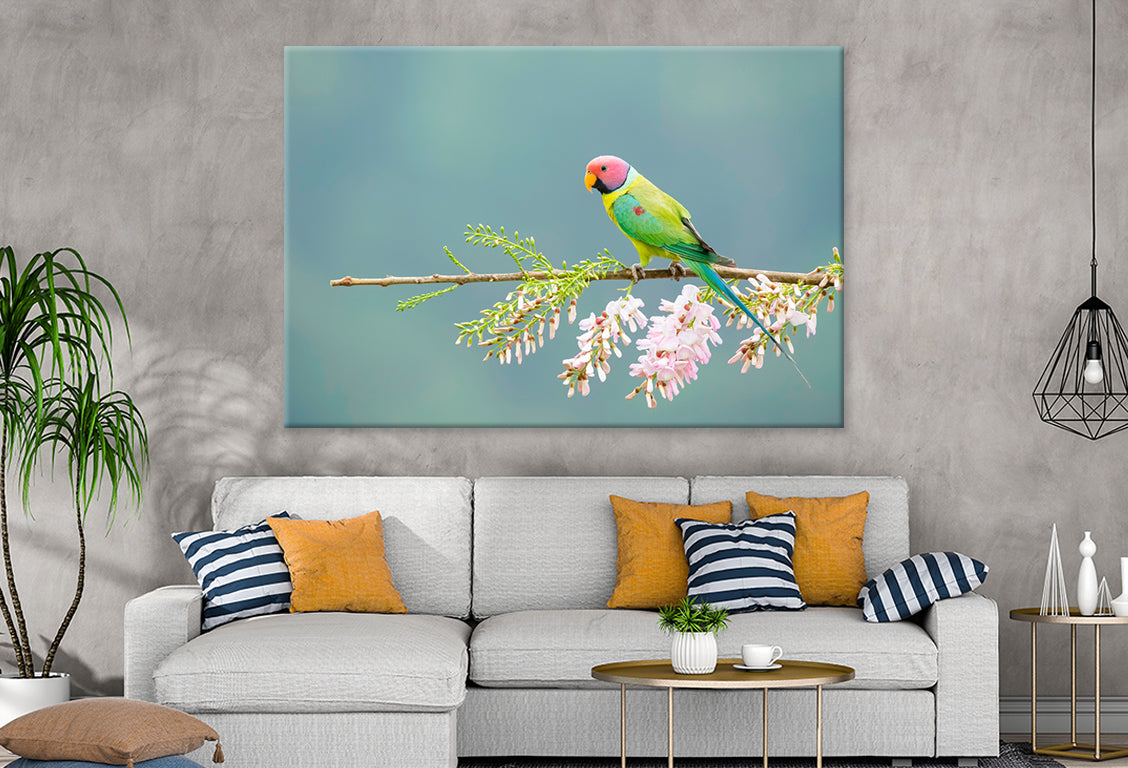 Plum-Headed Parakeet Feeding Wall Art Decor 100% Australian Made - Bella Home Decor