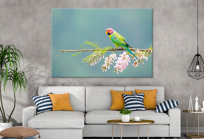 Plum-Headed Parakeet Feeding Wall Art Decor 100% Australian Made - Bella Home Decor