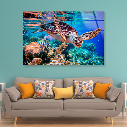 Turtle Swimming in The Ocean with Fish Acrylic Glass Print Tempered Glass Wall Art 100% Made in Australia Ready to Hang