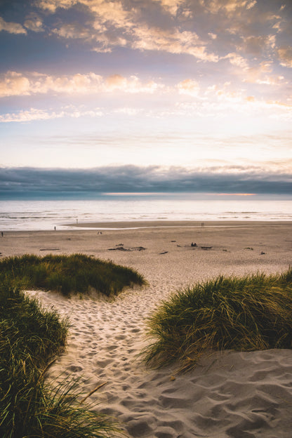 Sandy Trail Leads to The Beach Under Sunset on The Oregon Coas Portrait Photograph Acrylic Glass Print Tempered Glass Wall Art 100% Made in Australia Ready to Hang - Bella Home Decor