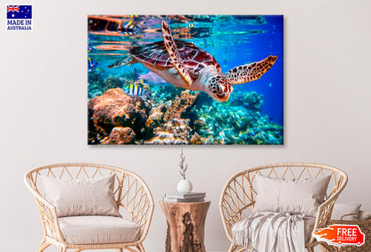 Turtle Swimming in The Ocean with Fish Wall Art Decor 100% Australian Made